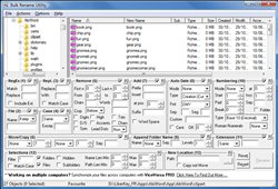 Bulk Rename Utility